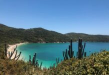Arraial do Cabo: melhor época, onde ficar, praias, passeios e muito mais! Vista do Mirante da praia do forno acessível por trilha. Mar azul e vegetação